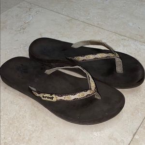 Reef Dark Brown with Gold and Tan Woven Fl…